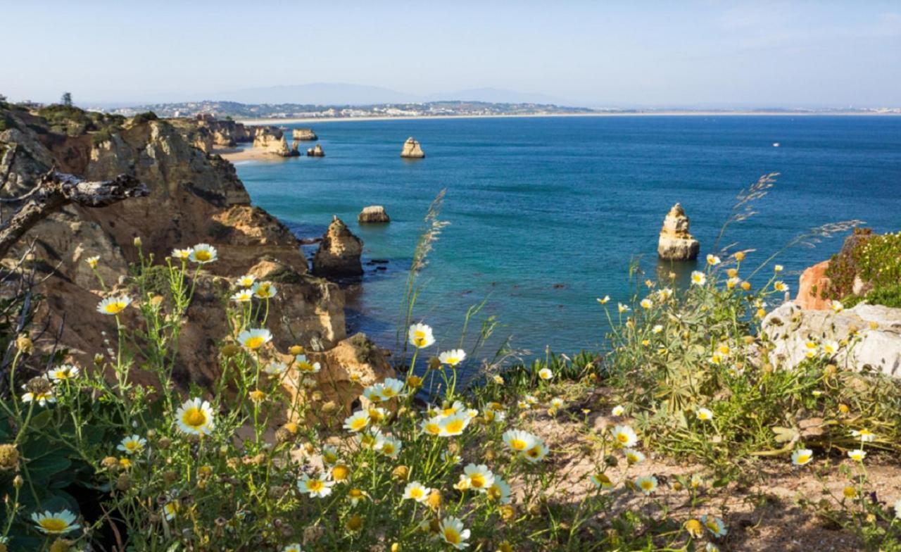 אלבור Vila Marachique מראה חיצוני תמונה